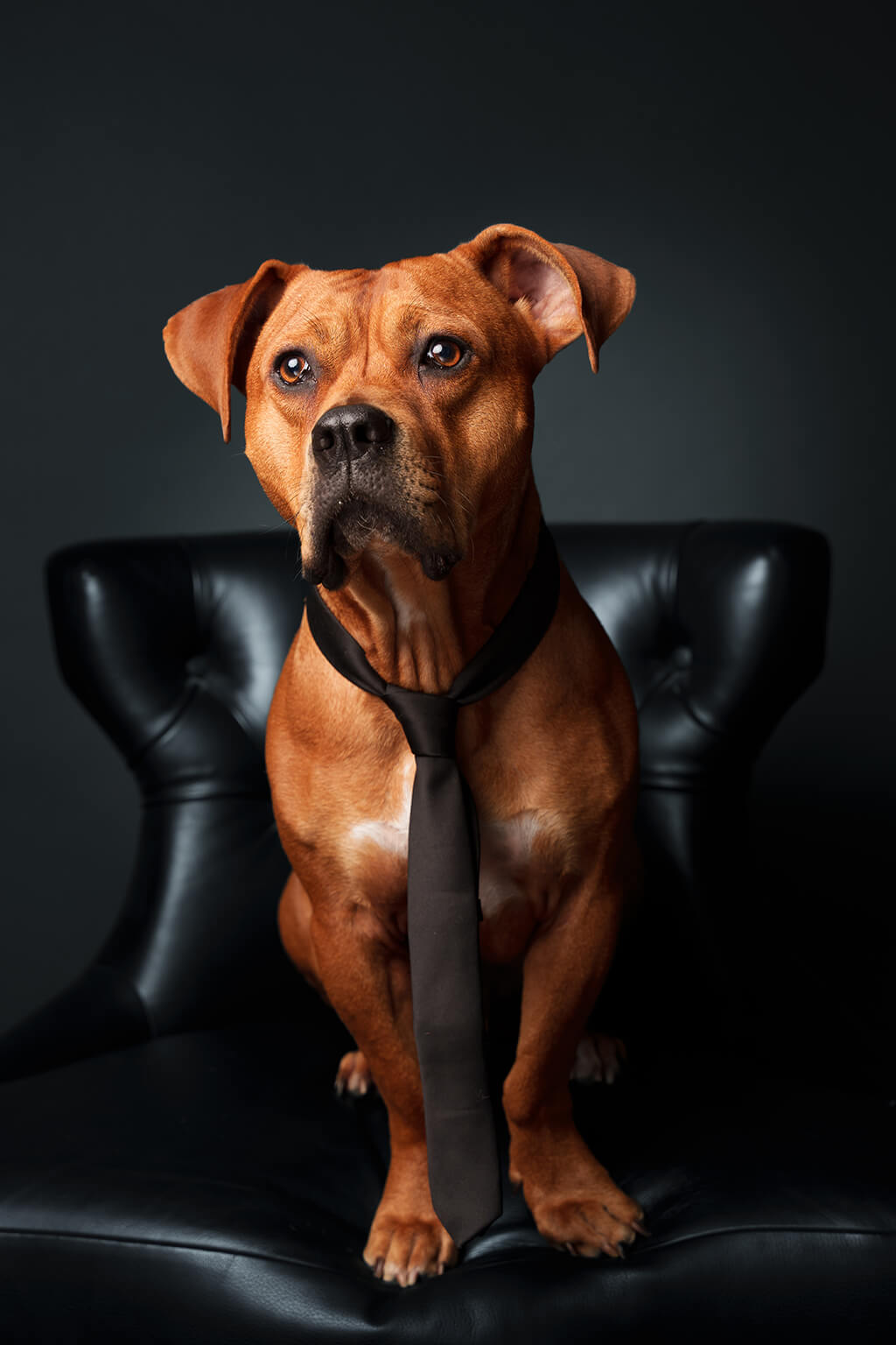 Friends-of-Stark-Omara-Nahar-042